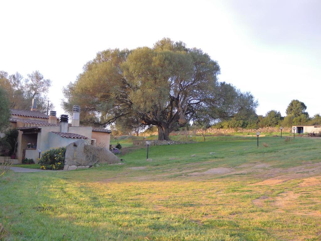 Agriturismo Candela Arzachena Ngoại thất bức ảnh